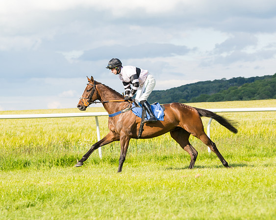Race 6 - Open Maiden (49 of 227)