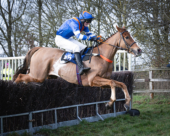 Race 2 - Maiden (118 of 145)