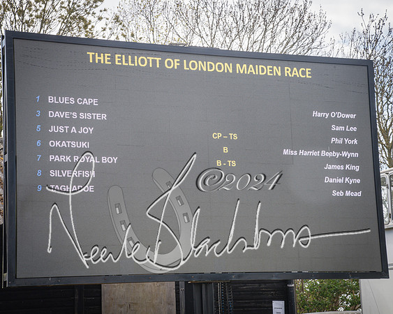 Race 2 - The Elliott of London maiden race (29 of 137)