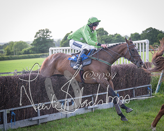 Race 6 - Thorn Plant Hire Maiden Race (108 of 129)