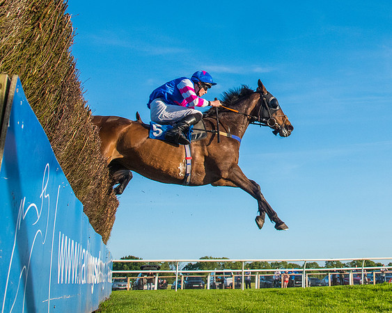 Race 5 - White Swan Hotel Handicap (32 of 80)
