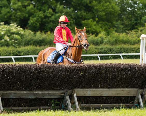 Race 5 - Restricted  (36 of 136)