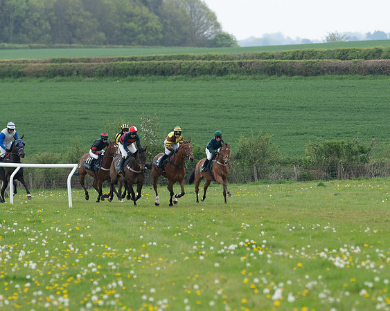 Race 2 - Jockey Club ROR veteran Horse (25 of 104)