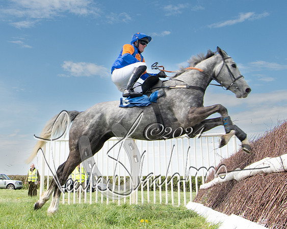 Race 2 - The Elliott of London maiden race (117 of 137)