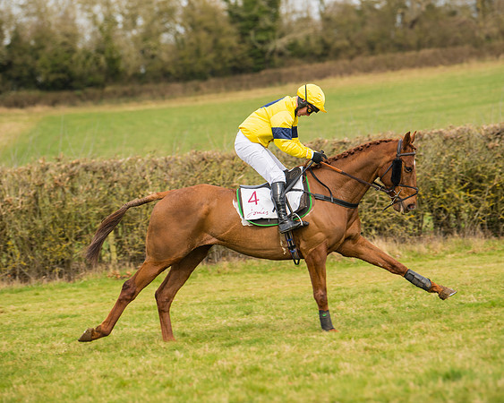 Race 2 - Open Maiden (13 of 128)