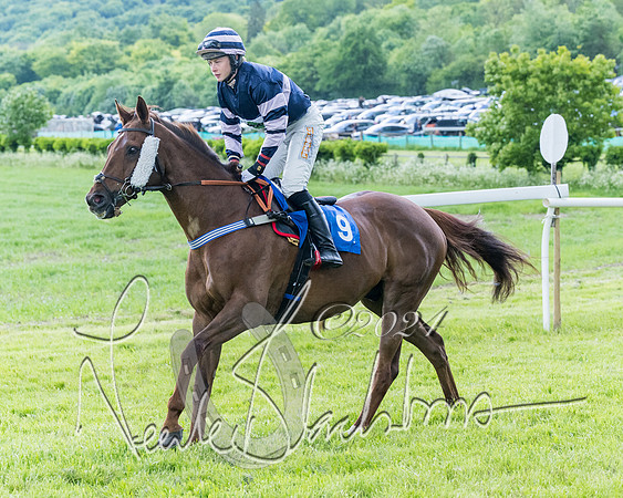 Race 3 - Conditions (107 of 367)