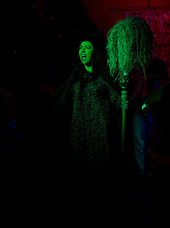 The Wizard of OZ -  190