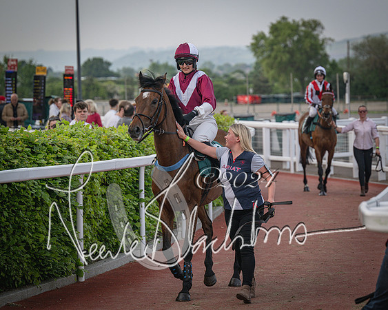 Race 5 - Mares Open Hunter Steeplechase 3m2f 70y (42 of 269)