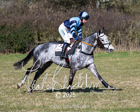 Race 1 - Maiden (39 of 188)