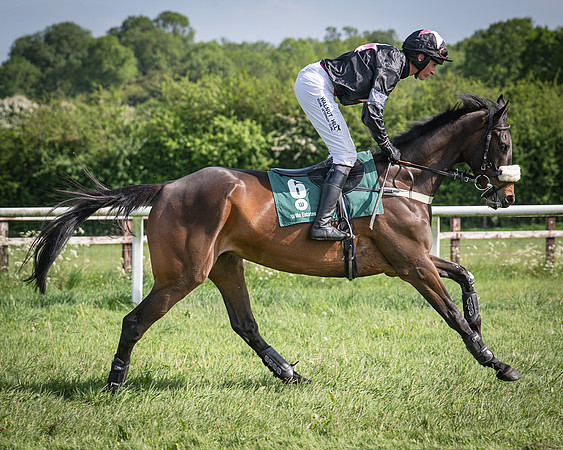 Race 5 - Restricted (44 of 116)