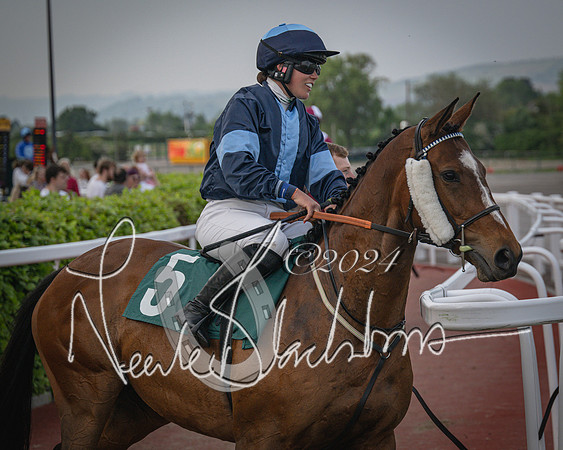 Race 5 - Mares Open Hunter Steeplechase 3m2f 70y (40 of 269)