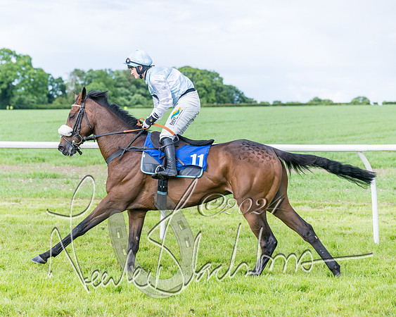 Race 5 - Restricted Race (143 of 434)