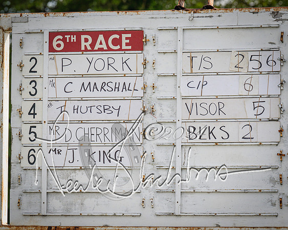 Race 6 - Thorn Plant Hire Maiden Race (1 of 129)