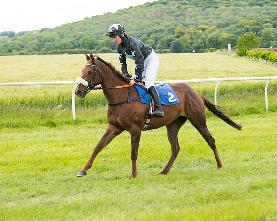 Race 1 - Owner Trainer Conditions  (49 of 133)