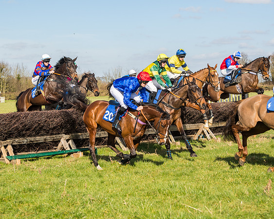 Race 1 - Open Maiden Division 2 (58 of 173)