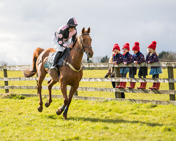 Race 5 - Restricted  (11 of 118)