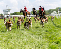 Race 4 - PPORA Novice Riders Final  (15 of 362)