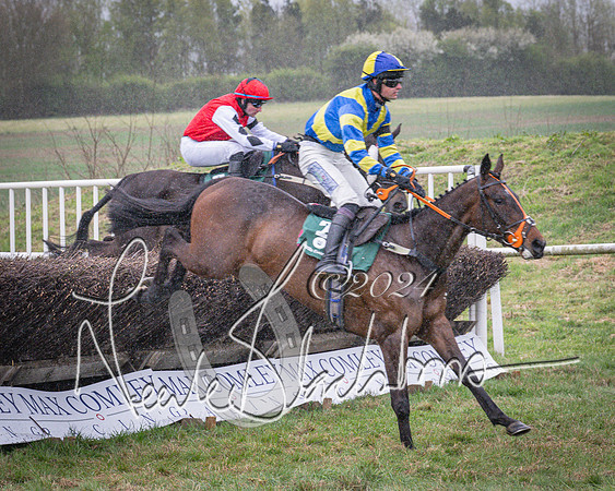 Race 7 - The Jockey Club maiden race for Mares and Fillies only (48 of 96)