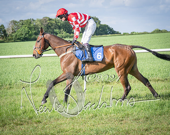 Race 6 - Thorn Plant Hire Maiden Race (23 of 129)