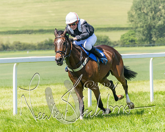 Pony Races  (100 of 141)