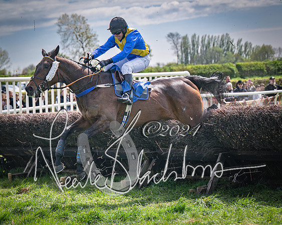 Race 2 - The Elliott of London maiden race (73 of 137)