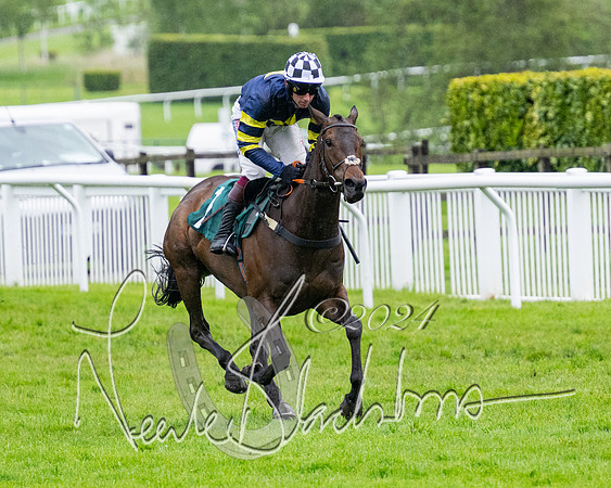 Race 5 - Mares Open  (47 of 129)