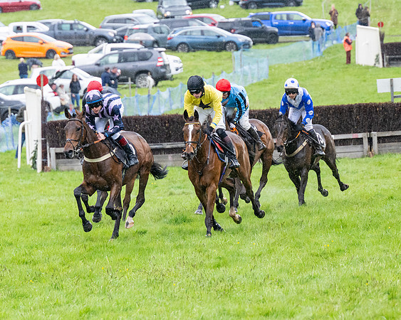 Race 8 - Bumper Div 2 (19 of 84)