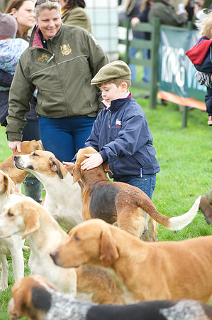 Pytchley - Hounds and friends 22