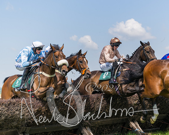 Race 2 - The Maiden  (172 of 442)