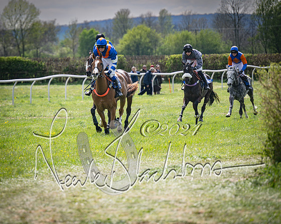 Race 2 - The Elliott of London maiden race (61 of 137)