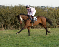 Race 6 - Open Maiden Race (18 of 99).jpg