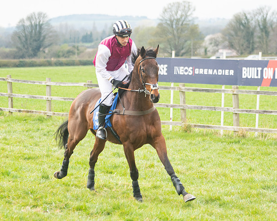 Race 6 - The Restricted Race (66 of 200)