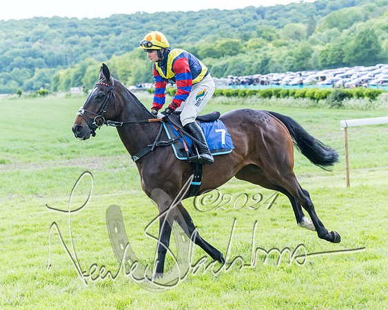 Race 3 - Conditions (81 of 367)