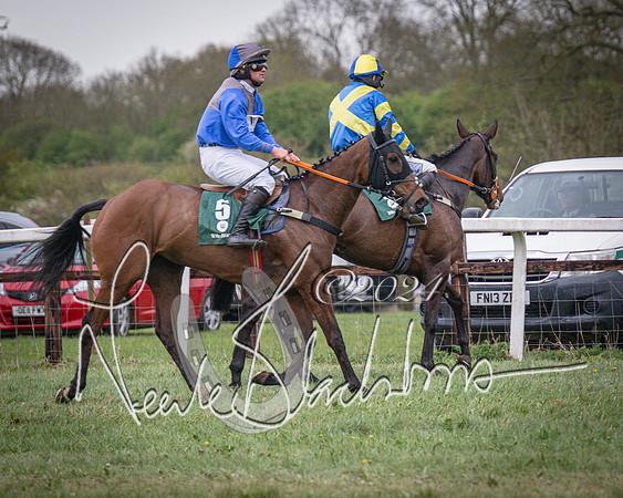 Race 7 - The Jockey Club maiden race for Mares and Fillies only (90 of 96)