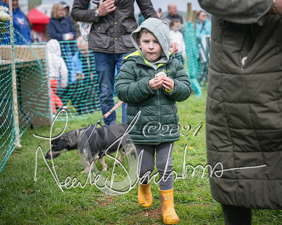 Bicester - Dog Show (37 of 106)