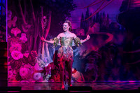 Swan Panto 2017
