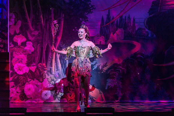 Swan Panto 2017
