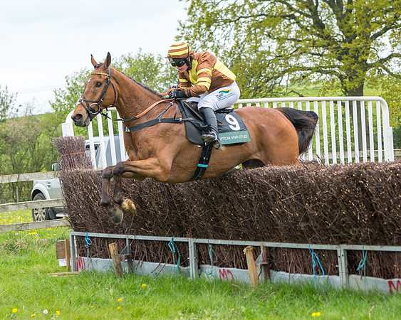 Race 2 - Jockey Club ROR veteran Horse (84 of 104)