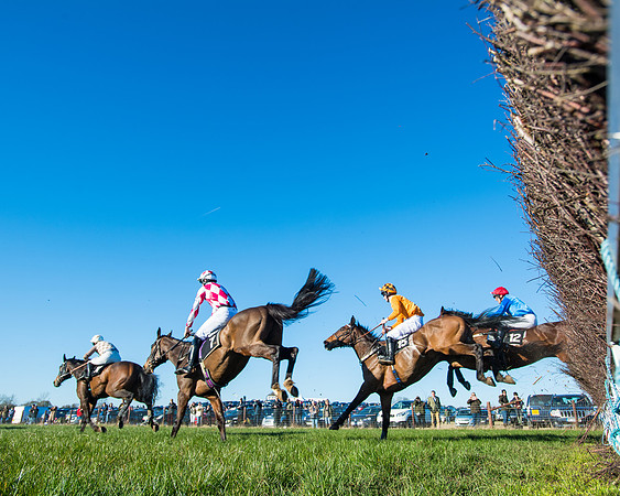 Race 6 - Restricted  (176 of 291)