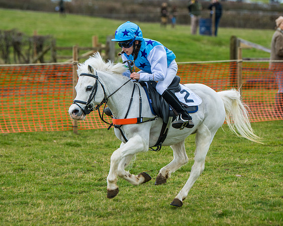 Pony Race 1 (99 of 101)