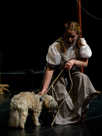 The Wizard of OZ -  35