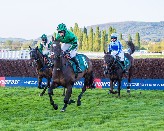 Race 5 - ITM Mares'  (26 of 181)