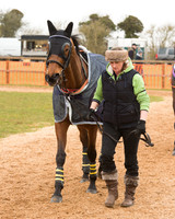Race 6 - Open Maiden (16 of 120).jpg