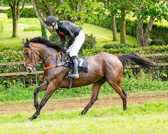Race 5  - Novice riders (10 of 188)