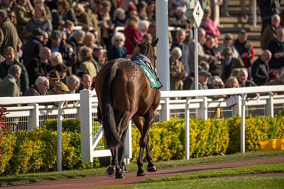 Race 3 - KTDA Hunters' Steeple Chase  (5 of 226)