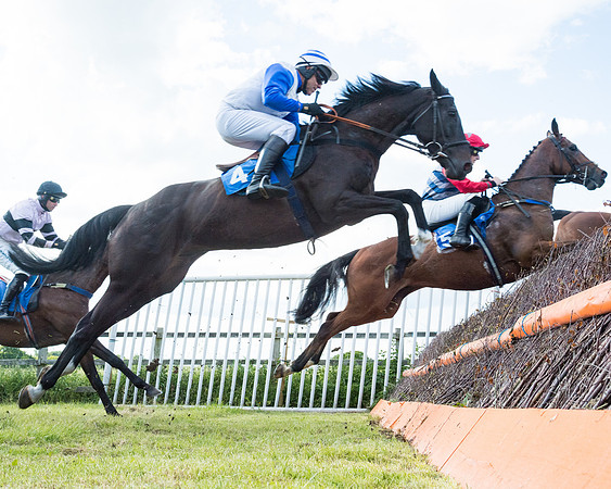 Race 6 - Open Maiden (94 of 227)