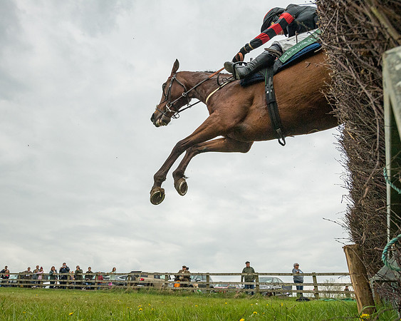 Race 2 - Jockey Club ROR veteran Horse (76 of 104)
