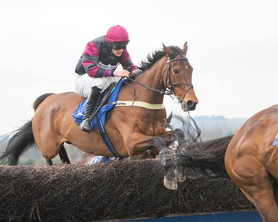 Race 6 - The Restricted Race (111 of 200)