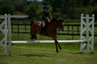 SOHS PC Summer Show at BCA 17th June 2012