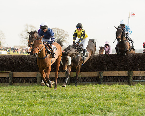 Race 6 - Open Maiden Race (53 of 99).jpg